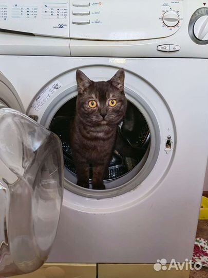 Ремонт стиралок. Ремонт, скупка, продажа, запчасти