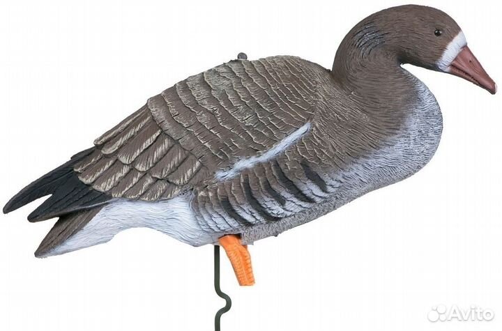 Чучела белолобого гуся Sport Plast