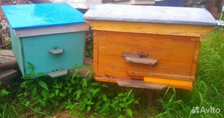 Улей для пчел