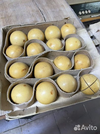 Шары бильярдные СССР