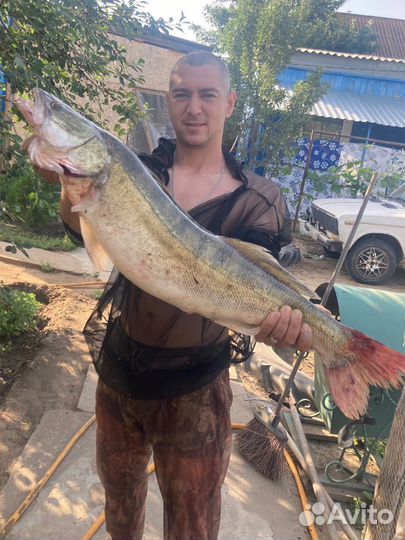 Рыбалка и отдых