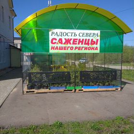 Цветы и саженцы