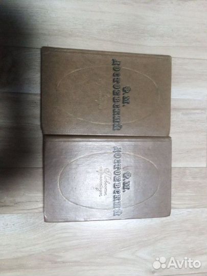 Достоевский в 2 томах