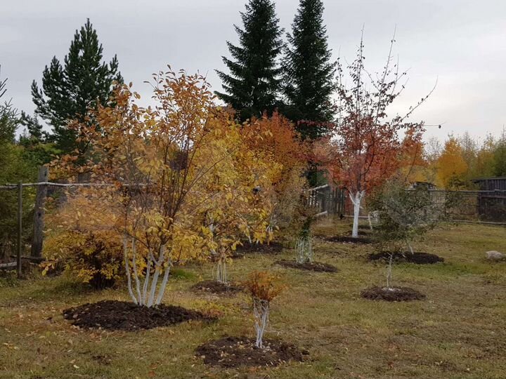 Дача 60 м² на участке 21,6 сот.