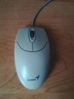 Мышка-хвостатка