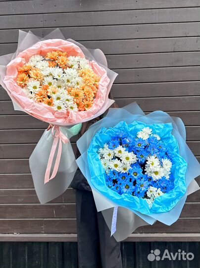 Большие Букеты XXL из Ярких Хризантем