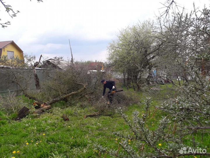 Покос травы