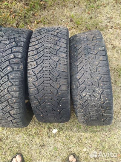 Cordiant Polar 205/55 R16