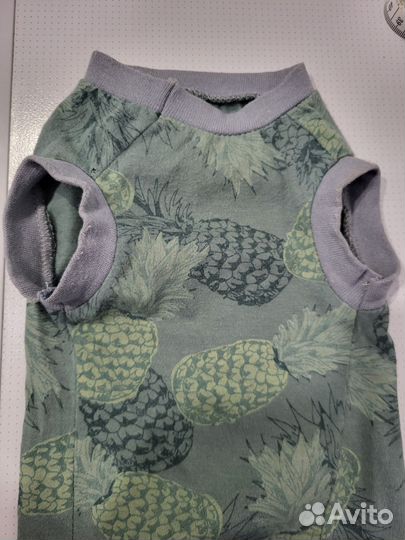 Одежда для кошек