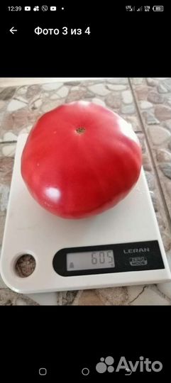 Семена 30 шт Алтайских Сорт. красн.,оранж.,помидор