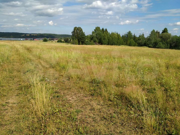 Участок 30 га (СНТ, ДНП)