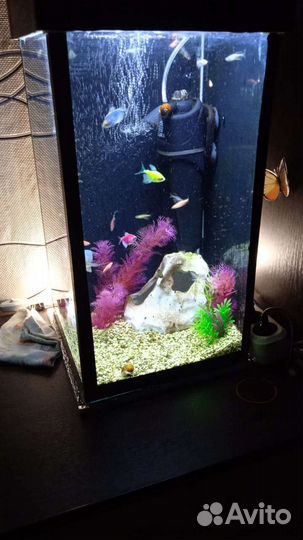 Аквариум