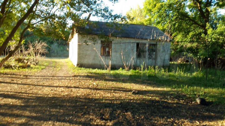 Дом 54 м² на участке 30 сот.