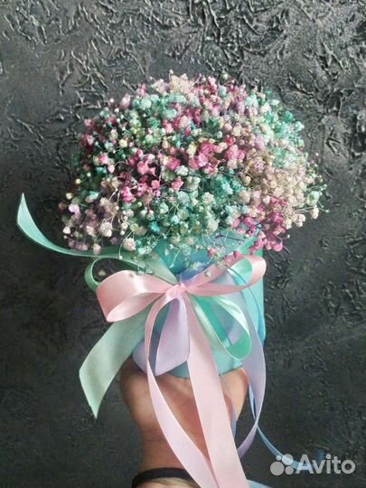 Гипсофила в коробке