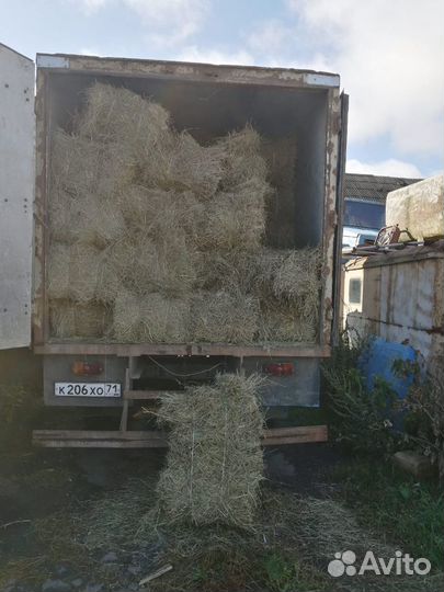 Сено в брикетах и рулонах, сенаж в упак., солома