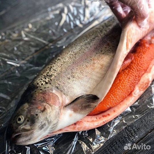 Форель охлажденная