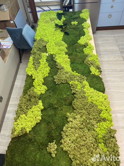 Вертикальное озеленение