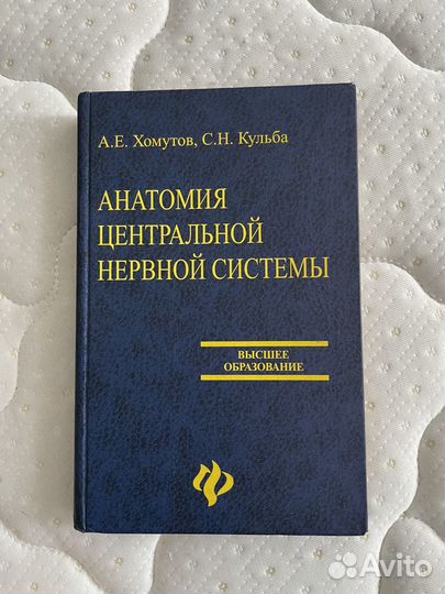Анатомия и физиология центральной нервной системы
