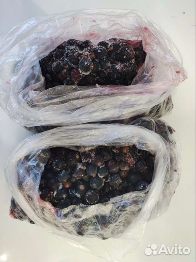 Много замороженной чёрной смородины