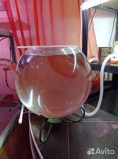 Аквариум для рыбок круглый