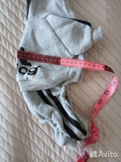 Товары для животных