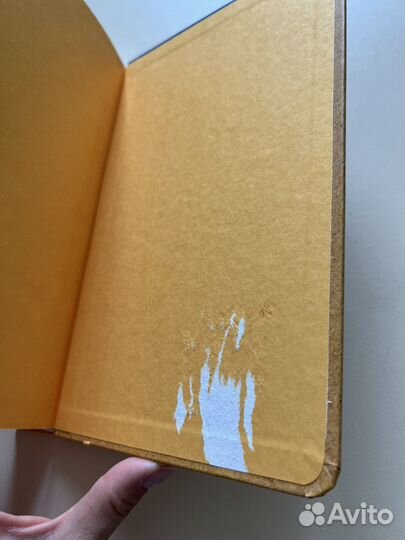 Книга Вся фигня от мозга чибисов василий