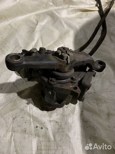 Гур паз вектор