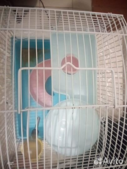 Клетка для грызунов бу