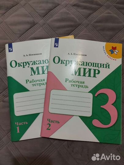 Рабочая тетрадь 3 класс А.А Плешаков