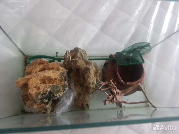 Аквариум+фильтр+температурная установка