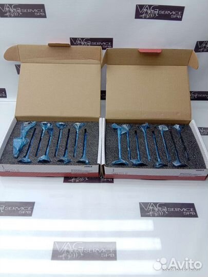 Комплект новых клапанов VW VAG EA211 1.6 MPI CWV