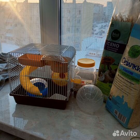 Набор для грызунов