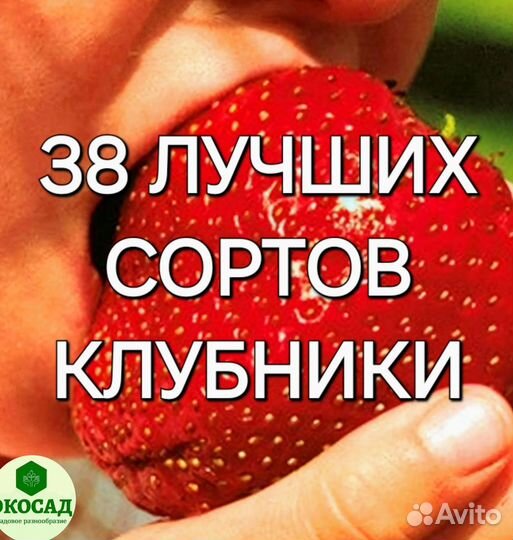 Саженцы клубники лучшие 38 сортов клубники рассада