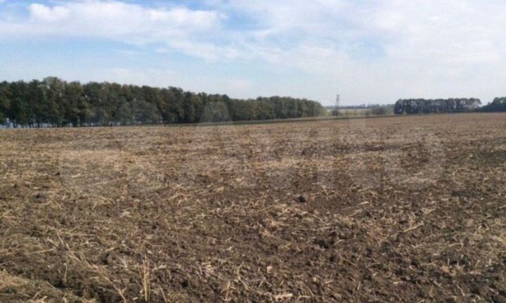 Участок 4,95 га (СНТ, ДНП)