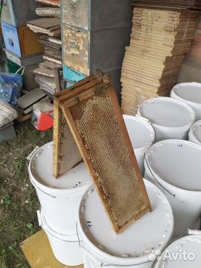 Мёд Акация 23