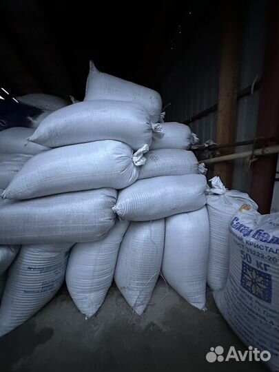 Зерноотходы пшеницы