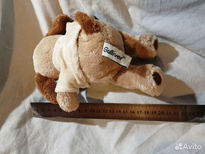 Коллекция собак