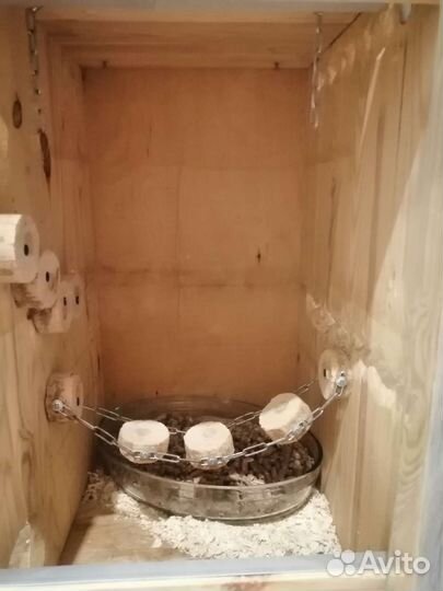 Клетка витрина для грызунов шиншилл, дегу, хомяков