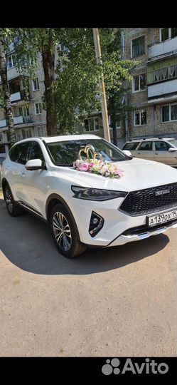 Прокат авто на свадьбу с водителем