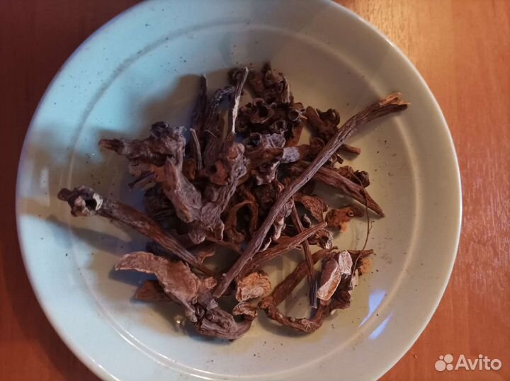 Пион марьин корень