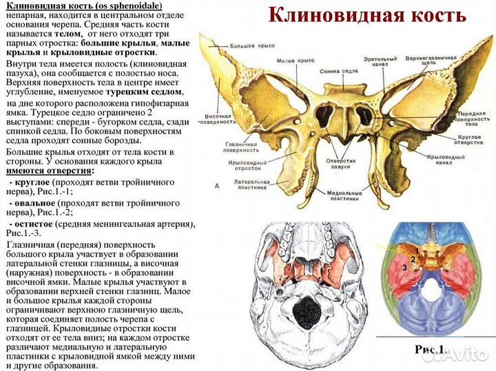 Кинезиомассаж