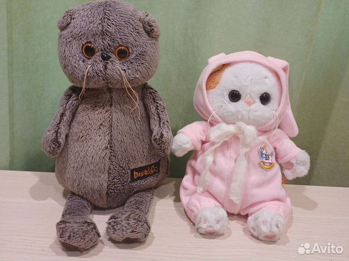 Кот басик