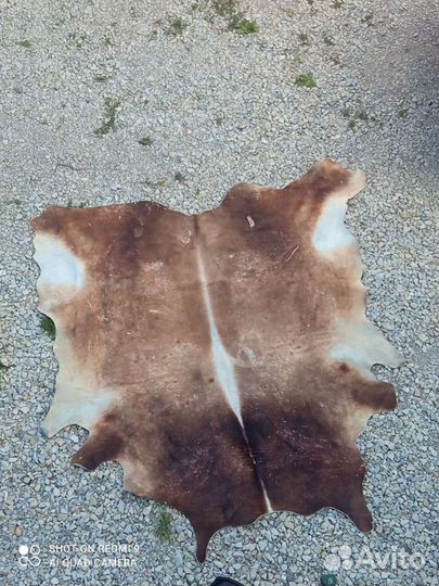 Бычья шкура(шкура быка)