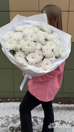 Хризантемы,букет хризантем