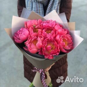 Пионы цветы