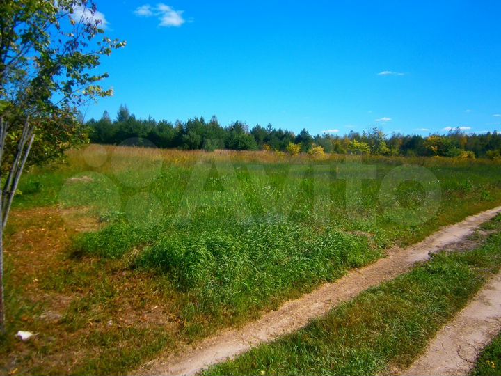 Участок 10 сот. (ИЖС)