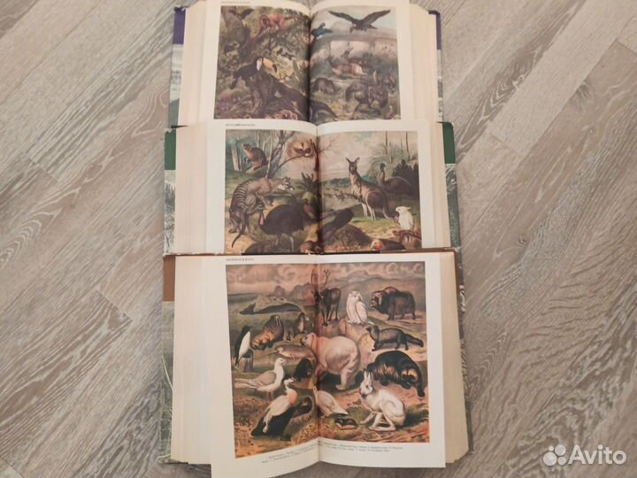 А. Э. Брэм Жизнь животных 3 тома 1992 год