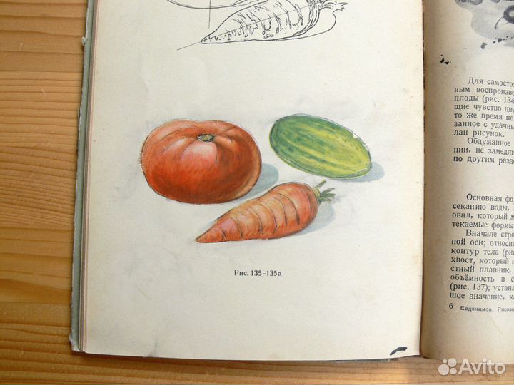 Рисование. Учебное пособие 1949 год учпедгиз