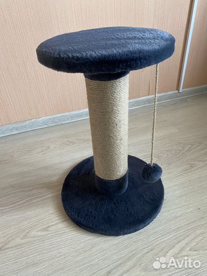 Когтеточка