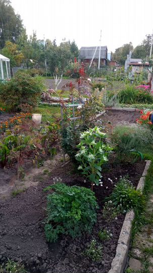 Участок 4 сот. (СНТ, ДНП)